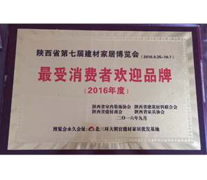 最受消费者欢迎品牌